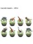Caketopper 24 Adet Jurassic Dünya Dinozor Tema Tek Kullanımlık Sofra Jungle Safari Dinozor Peçete Plakası Vahşi Roar Boy Mutlu Doğum Günü Partisi Dekoru (Yurt Dışından) 1
