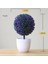 1 Adet Mini Yapay Aloe Bitkiler Bonsai Küçük Simüle Ağaç Saksı Bitkileri Sahte Çiçekler Ofis Masası Saksı Süsler Ev Bahçe Dekor (Yurt Dışından) 1