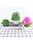 1 Adet Mini Yapay Aloe Bitkiler Bonsai Küçük Simüle Ağaç Saksı Bitkileri Sahte Çiçekler Ofis Masası Saksı Süsler Ev Bahçe Dekor (Yurt Dışından) 4