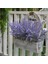 JY009-E Yapay Çiçekler Soğuğa Dayanıklı Lavanta Gypsophila 6 Stilleri Romantik Sevgililer Günü Düğün Dekorasyon Ebedi Çiçek Hediye (Yurt Dışından) 3
