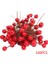 100PCS SICAK!100/200/300 Adet Yapay Köpük Canlı Kırmızı Holly Karpuzu Ev Garland Noel Dekorasyon Çiçek Buketi Meyve Berry (Yurt Dışından) 1