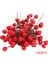 100PCS SICAK!100/200/300 Adet Yapay Köpük Canlı Kırmızı Holly Karpuzu Ev Garland Noel Dekorasyon Çiçek Buketi Meyve Berry (Yurt Dışından) 3
