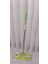 Mandallı Mop 2