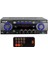 Hpy Y Hpy Y -510 2X50 Watt 220V/12V Giriş Usb-Sd -Bt-Uk Trafosuz 2 Mik. Girişli Stereo Anfi 4