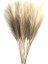 6 Adet Yapay Pampas Çim Dekor Çiçekler Dıy Çiçek Masa Düzenlemek Için Sahte Bitki Kamış Çiçek Düğün Ev Noel Dekorasyon Renk: Açık Kahve / Boyut: 6 Adet Paket (Yurt Dışından) 1