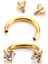 Cerrahi Çelik Zirkon Taşlı Gold At Nalı Piercing Çap 6 mm -Rook, Tragus-1 adet 2