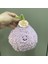 Yaratıcı Yeni Simülasyon Meyve ve Sebze Peluş Oyuncaklar 20CM (Yurt Dışından) 1