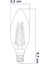 Rustik LED Ampul 6W E14 2500K Gün Işığı Erd-34 2
