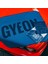 Gyeon Q²m Silkdryer Evo Inovatif Kurulama Havlusu - 50X55 cm 2
