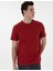 Erkek Nar Çiçeği Regular Fit Tişört 50302581-VR239 3