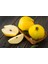 Tüplü Limon Ayvası Fidanı 1