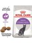 Royal Caninsterılısed 37 -Kısırlaştırılmış Yetişkin Kedi Tam ve Eksiksiz Kuru Maması- 15 kg 2