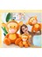 Ithal Kumaş Winnie The Pooh Tiger Kaplan Anime Figür Peluş Oyuncak Uyku & Oyun Arkadaşı 50 Cm. 2