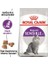 Sensible 33 Yetişkin Kedi Maması 15 kg 2