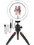Ensiga Masa Üstü Işık Ring Light 10 Inç LED Mini Masa Tripodlu Video Stüdyo Makyaj Işığı 1