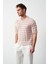 Çizgili Regular Fit Ince Triko Erkek T-Shirt 4