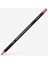 Tinted Charcoal Pencil Elderberry 1