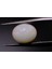 1.71 ct 9.2x7.1 mm Oval Natural Ethiopian Opal 1