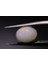 1.46 ct 9.1X7 mm Oval Natural Ethiopian Opal 1