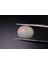 1.98 ct 11.1x8.9 mm Oval Natural Ethiopian Opal 1