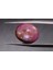 7.71 ct 11.3x9.5 mm Oval Natural Star Sapphire 1