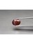 1.59 ct 7.7X6 mm Oval Pinkish Orange Sapphire Unheated Mozambique 1