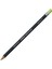 Procolour Pencil Light Moss 1