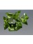 4.18 ct 4.5x4.5 mm 6pcs Lot Square Natural Peridot 1