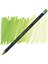 Procolour Pencil Grass Green 2
