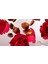 Ritual Of Ayurveda Saç ve Vücut Spreyi 50 ml 3