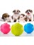 Köpek Isırma Topu Pati Desenli 1291 1