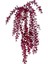 Yapay Çiçek Saksıda Sarkan Şimşir Bordo Okaliptus Yapay Sarmaşık Pastel 60CM 1
