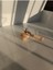 Luxuryahşap Topaç- Topaç- Ahşap Oyuncak-1 Adet 3