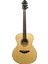 HG-250 Akustik Gitar 1