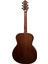 HG-250 Akustik Gitar 2
