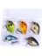 5 Adet Mini Biyonik Sert Yem Tuzlu Su Tatlı Su Balıkçılık Minnow Crankbaits Wobbler Yapay LURES-008-1 (Yurt Dışından) 1