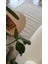 Yıkanabilir Kaymaz Tabanlı Sisal Halı 3