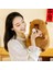 40CM Kirpi Balığı Bebek Peluş Oyuncak Yastık Bebek Tatil Hediyesi (Yurt Dışından) 1