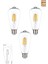 LED E27 ST64 Ampul 6W 2700K Gün Işığı Erd-85 1