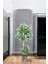 140 cm Ficus Yapay Ağaç Bambu 2 Gövdeli Metal Saksı 2