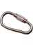 10 Çeşitli Renk Minik Küçük Çelik Inci Vidalı Kilitleme Karabina Anahtarlıklar Toka Güvenlik Kancası Anahtarlık Anahtarlık Edc Fob Dişli Dıy Renk: Gümüş (Yurt Dışından) 1