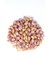 Online Jumbo Yer Fıstığı İçi Tuzlu 200 Gram 4