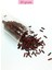 Uzun Boru Kesme Boncuk Çap 2mm Uzunluk 10 mm - 20 Gram - Kırmızı Siyah - BNC252 1