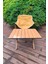 Hafif Taşıma Çantalı Katlanır Kamp Piknik Bahçe Masası Ceviz 60 x 60 x 45 cm 2