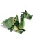 Çocuk Yeşil Ejderha 36 cm 1