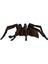 Hp Aragog 13987 1