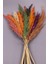 Renkli kuru çiçek pampas buketi, 126-150 cm, 10 adet, doğal ve canlı dekorasyon için 1