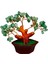 Yeşim Doğal Taş Bonsai Ağacı - Dekoratif Şans ve Bereket Ağacı 1