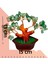 Yeşim Doğal Taş Bonsai Ağacı - Dekoratif Şans ve Bereket Ağacı 3