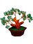 Yeşim Doğal Taş Bonsai Ağacı - Dekoratif Şans ve Bereket Ağacı 4